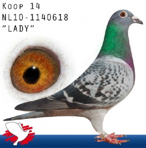 NL14-NL10-1140618 'Lady' edited
