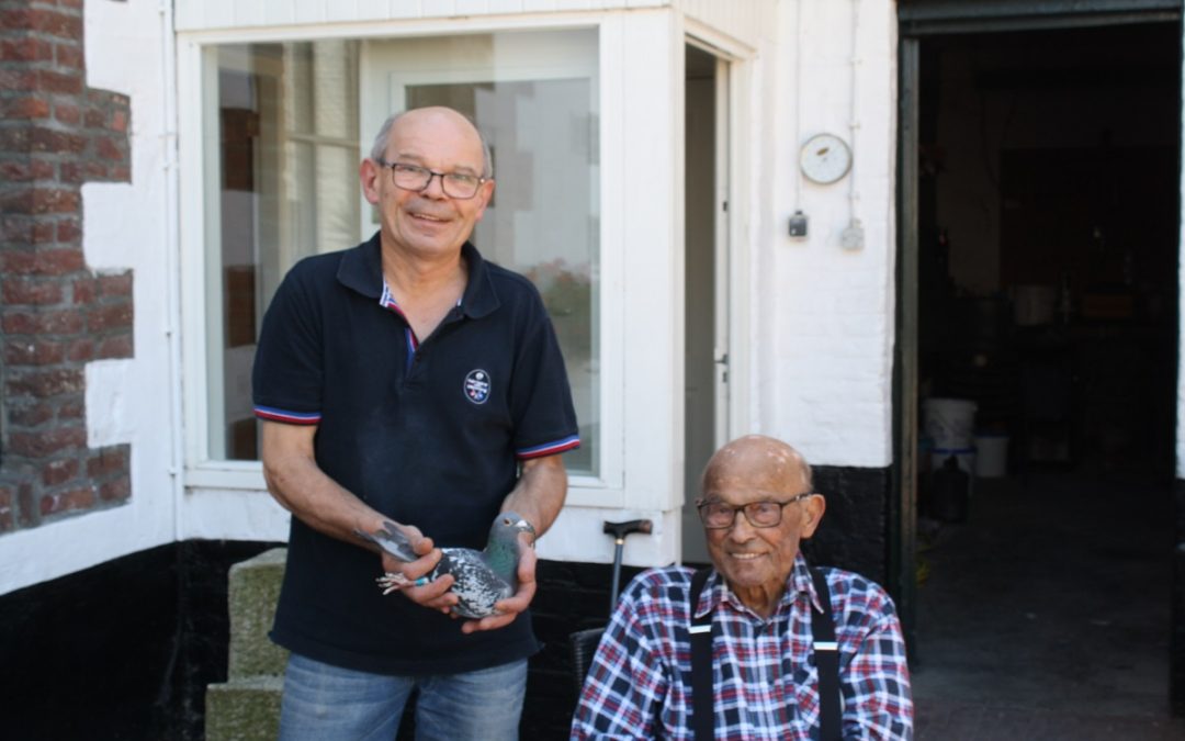 Harry en Roger Wijnands, Maastricht, winnen nationaal Agen ZLU oude duiven
