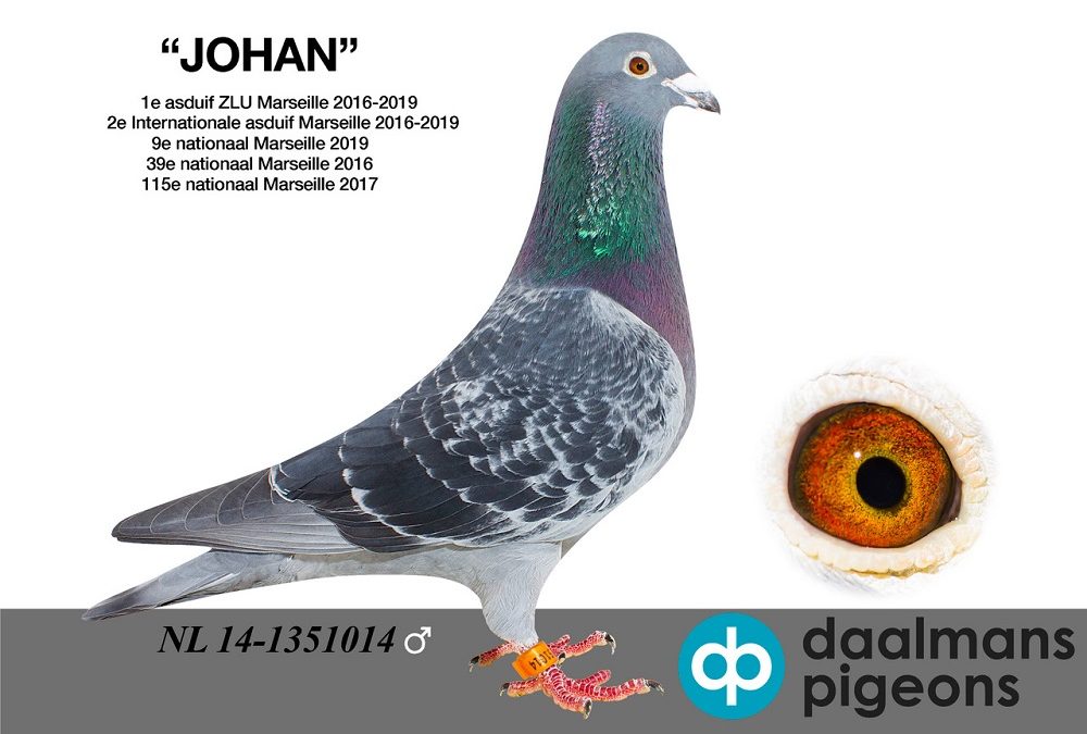 Topper van 2019 … ‘Johan’ van Theo Daalmans