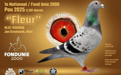 Dit zijn de winnaars van 2025: Jan Grootoonk wint 1e Nationaal en FondUnie 2000 Pau (2 en slot)