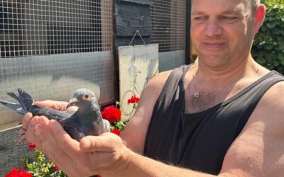 Dit zijn de winnaars van 2025: Comb. de Jong, Alblasserdam, winnen Nationaal St. Vincent