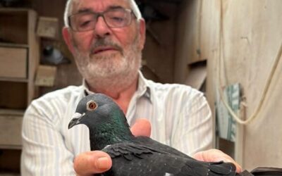 De Winnaar in 2025: Antoon Schults uit Bruinisse slaat opnieuw toe op Agen!