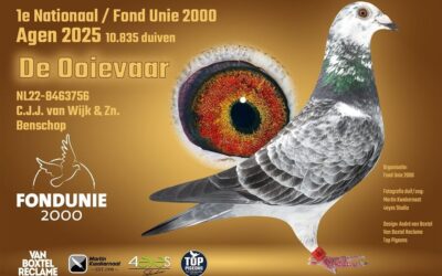 De Winnaars in 2025: C.J.J. van Wijk en zn, Benschop, winnen Internationaal Agen (3 en slot)