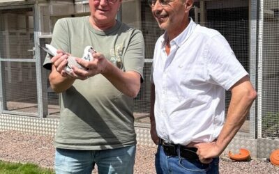 Batenburg-van de Merwe, Klaaswaal, Keizer Kampioen 2025 Fondunie 2000 (3)