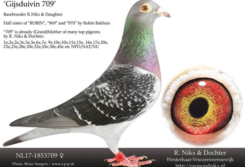 Raymond Niks en dochter, Westerhaar, hadden topseizoen in 2025 (3)