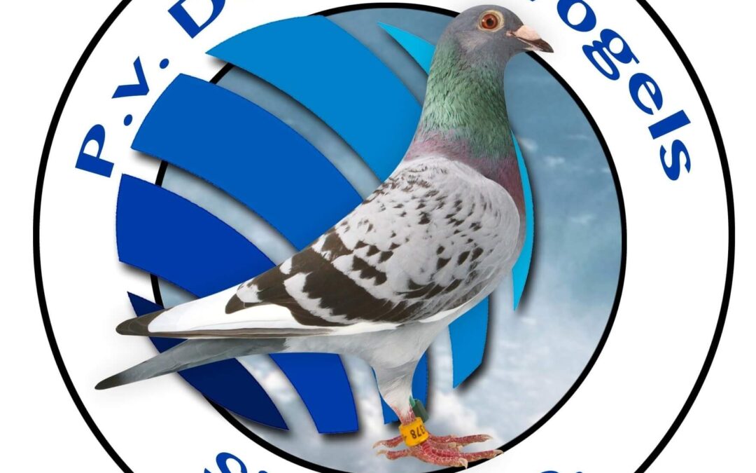 Nieuw initiatief: Twentse Marathon Classic – fondliefhebbers bundelen krachten in Oost-Nederland