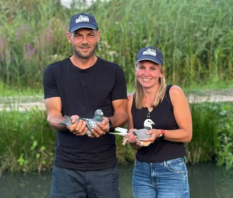 Veiling tbv Het Marathonduivenjournaal 2025 Deel 1