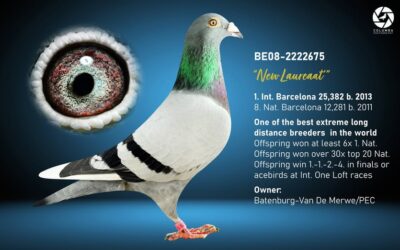 Batenburg-van de Merwe, Klaaswaal, Keizer Kampioen 2025 Fondunie 2000 (4)