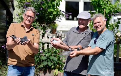 Harold van der Kruijk uit Monster wint met zijn “Amy” de Nationale vlucht vanuit Pau 2026 in de FondUnie 2000