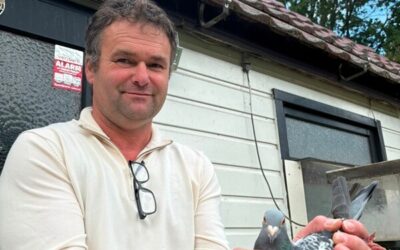 Johan Jansen, Punthorst, wint St. Vincent in Afdeling Noord en in de VNCC (1)