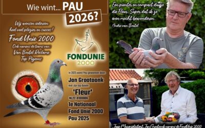 Vooruitblik Pau 2026