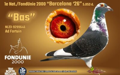 Het weekend van Barcelona en Bressols (4 en slot)