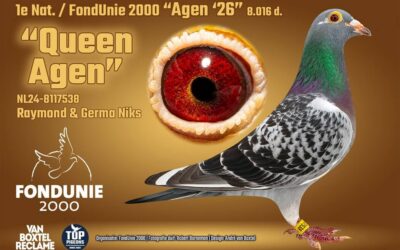 Raymond en Germa Niks, Westerhaar, winnen Internationaal Agen (1)
