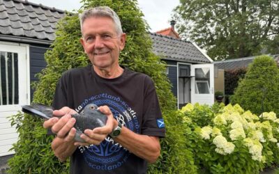 Gerard Kok, IJsselmuiden, wint Nationaal Bergerac tegen 25.000 duiven (1)